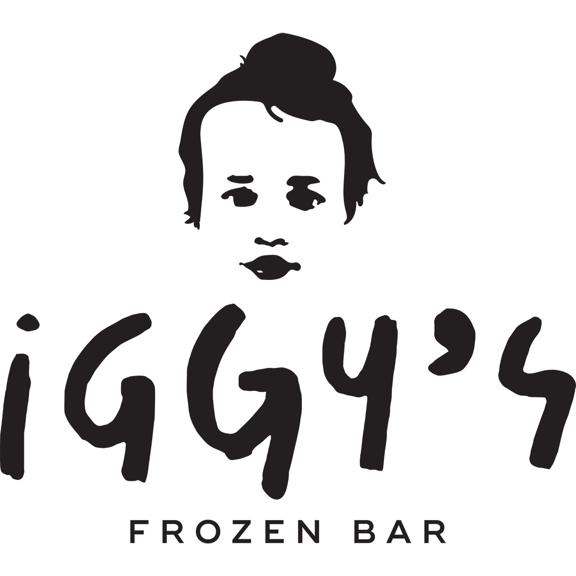 Iggy's Frozen Bar
